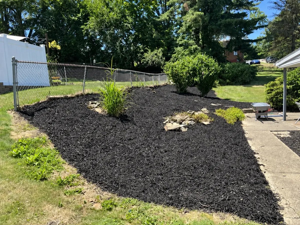 Sloped Backyard Landscape Bed Mulching