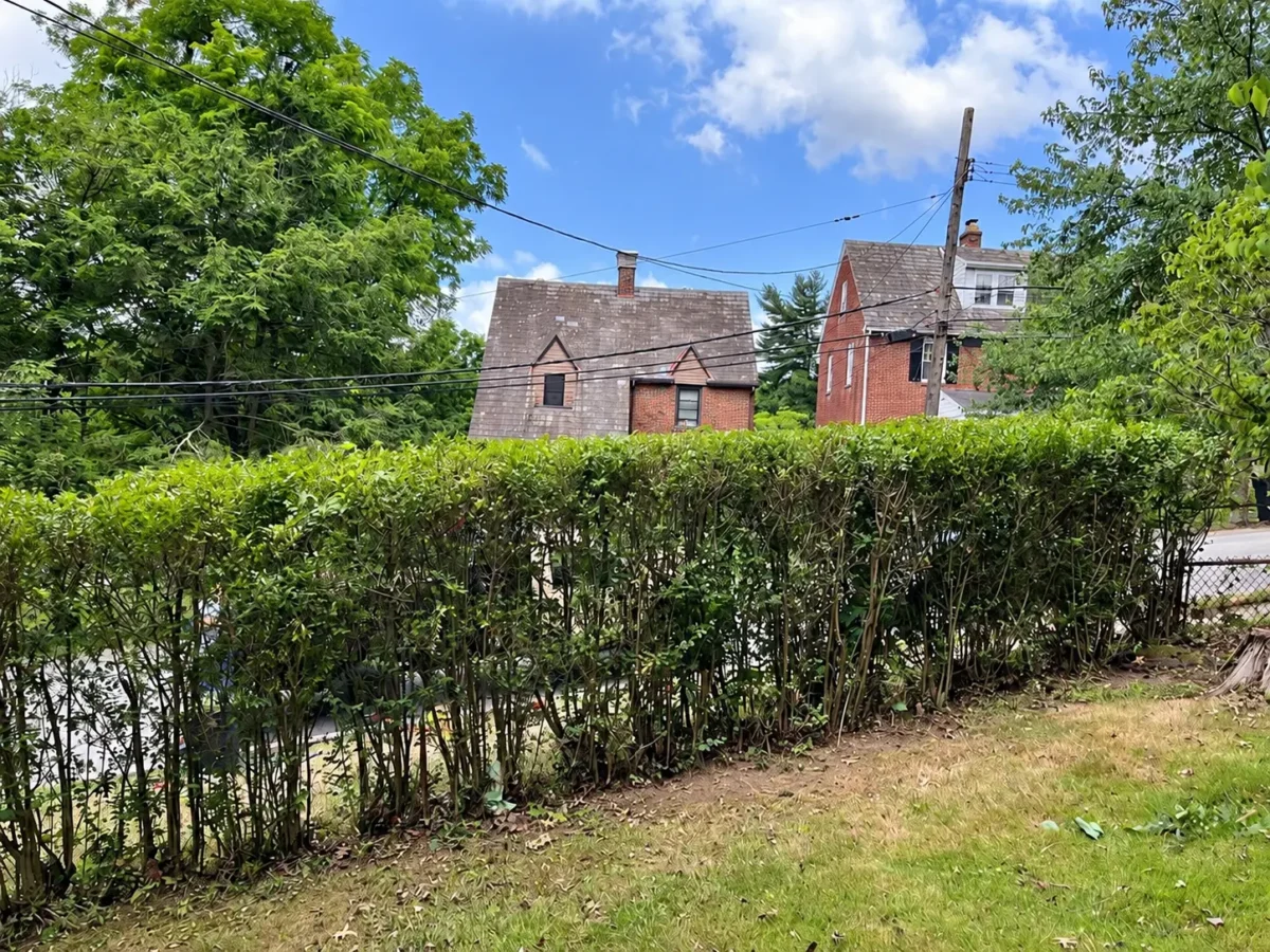 Hedge Line & Property Edge Maintenance