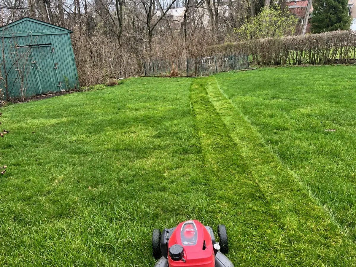 Residential Backyard Lawn Mowing